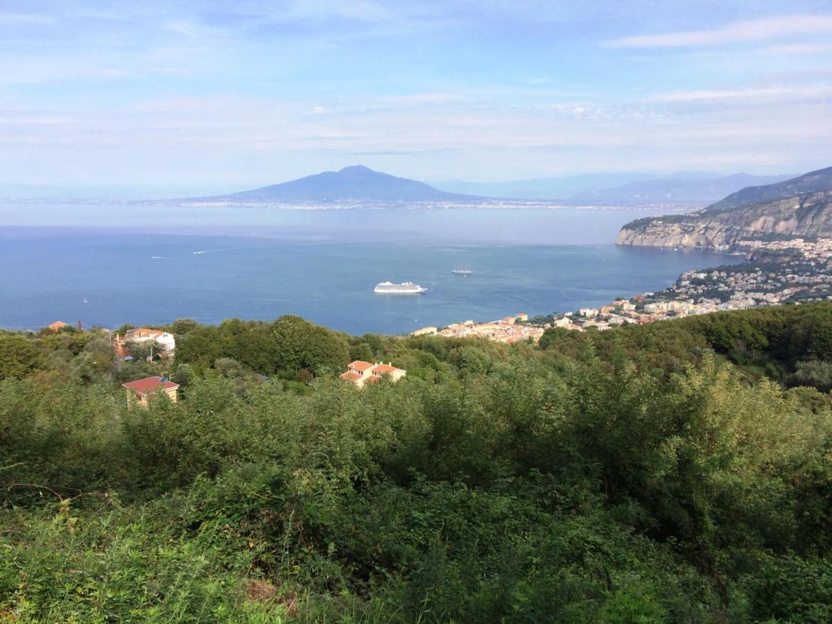 Giulia Bb Sorrento Bed & Breakfast ภายนอก รูปภาพ