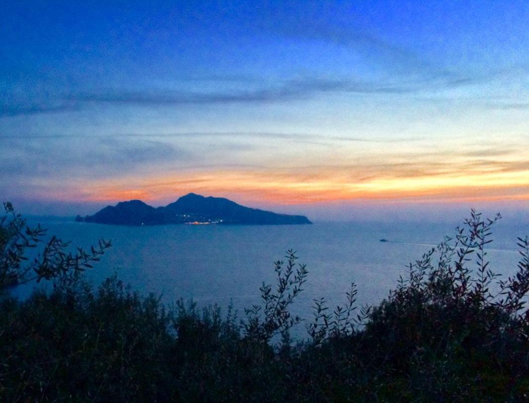 Giulia Bb Sorrento Bed & Breakfast ภายนอก รูปภาพ
